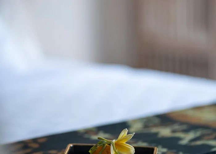 Graha Padi Villa