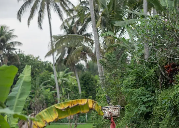 Graha Padi * Ubud