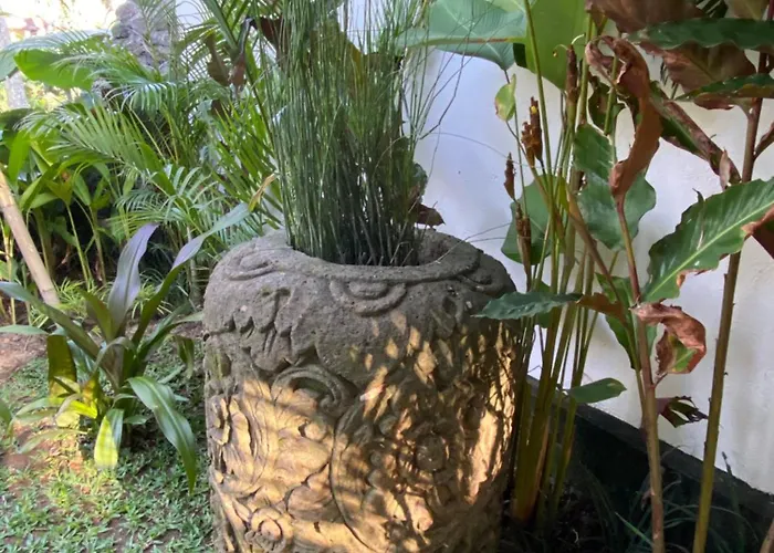 Graha Padi Villa Ubud
