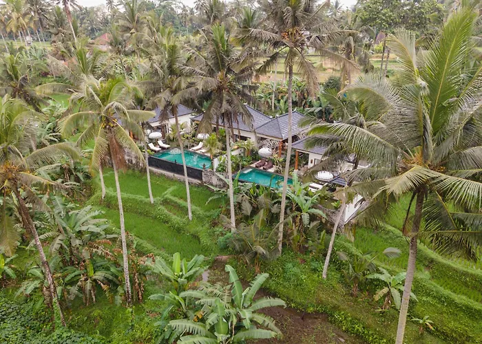 Graha Padi * Ubud