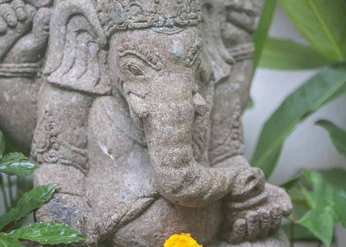 Graha Padi