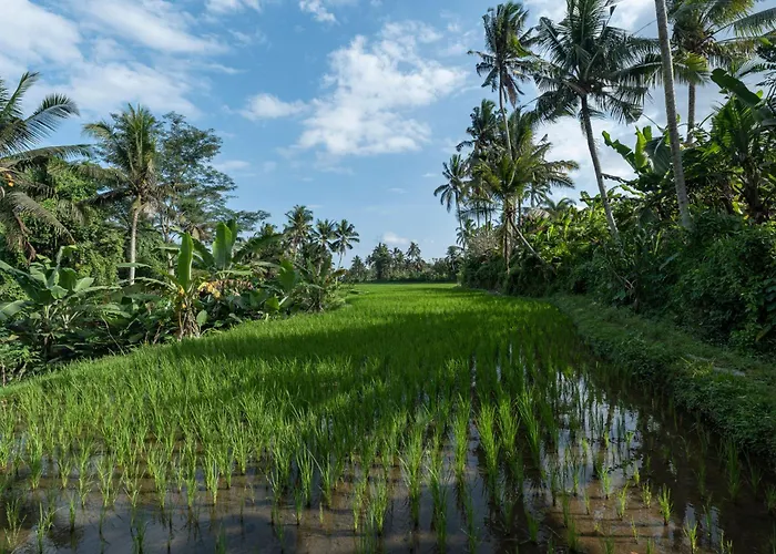 Graha Padi Villa