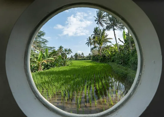 Graha Padi Villa Ubud